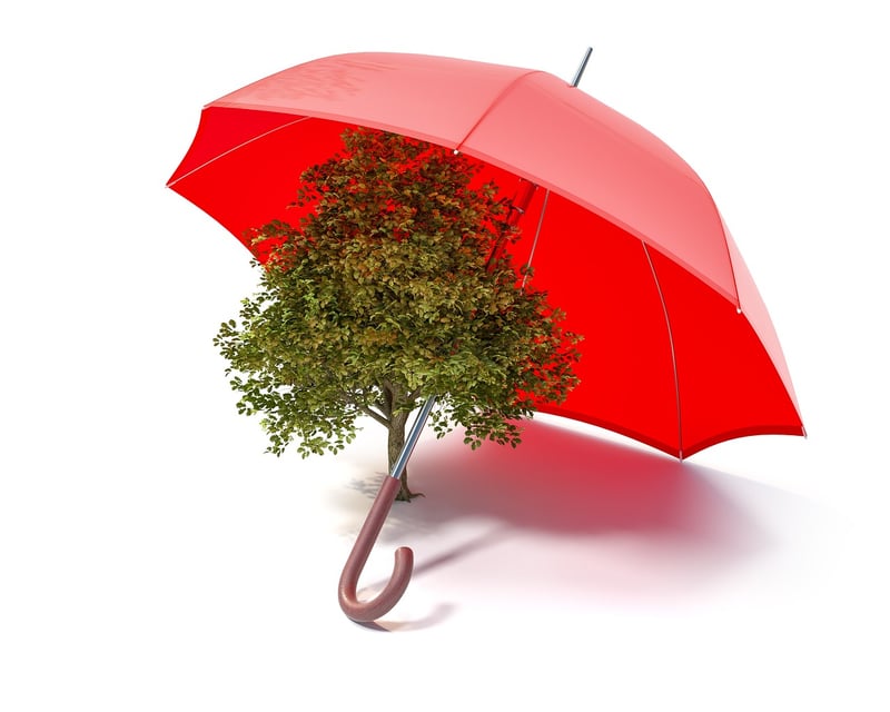 Eco-Friendly Designer