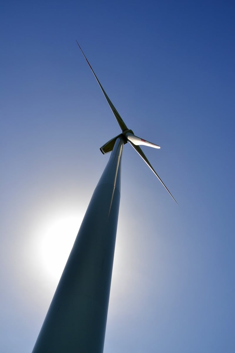 Sustainability Consultant